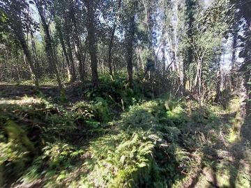 Quinta T0 para Venda em Rio Torto e Lagarinhos