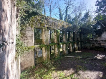 Quinta T0 para Venda em Rio Torto e Lagarinhos
