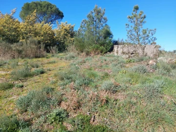 Quinta T0 para Venda em Rio Torto e Lagarinhos