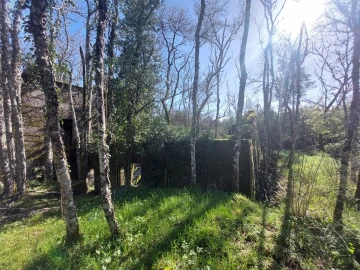 Quinta T0 para Venda em Rio Torto e Lagarinhos