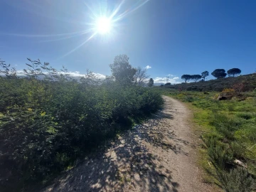 Quinta T0 para Venda em Rio Torto e Lagarinhos