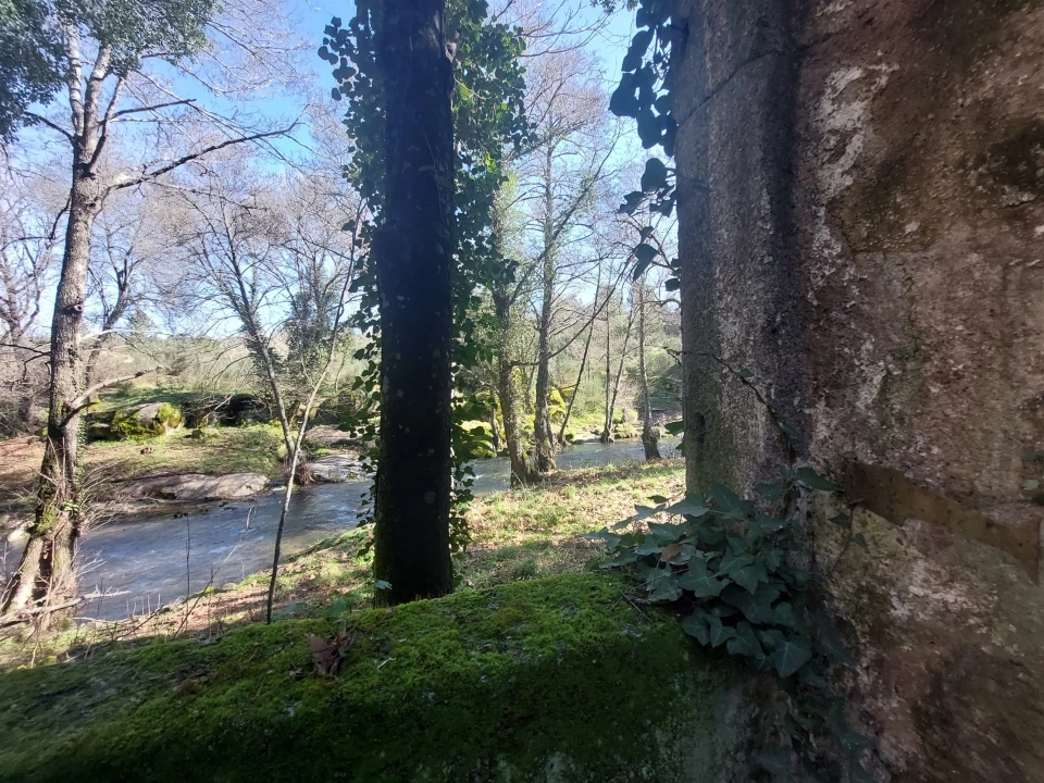 Quinta T0 para Venda em Rio Torto e Lagarinhos Foto 11