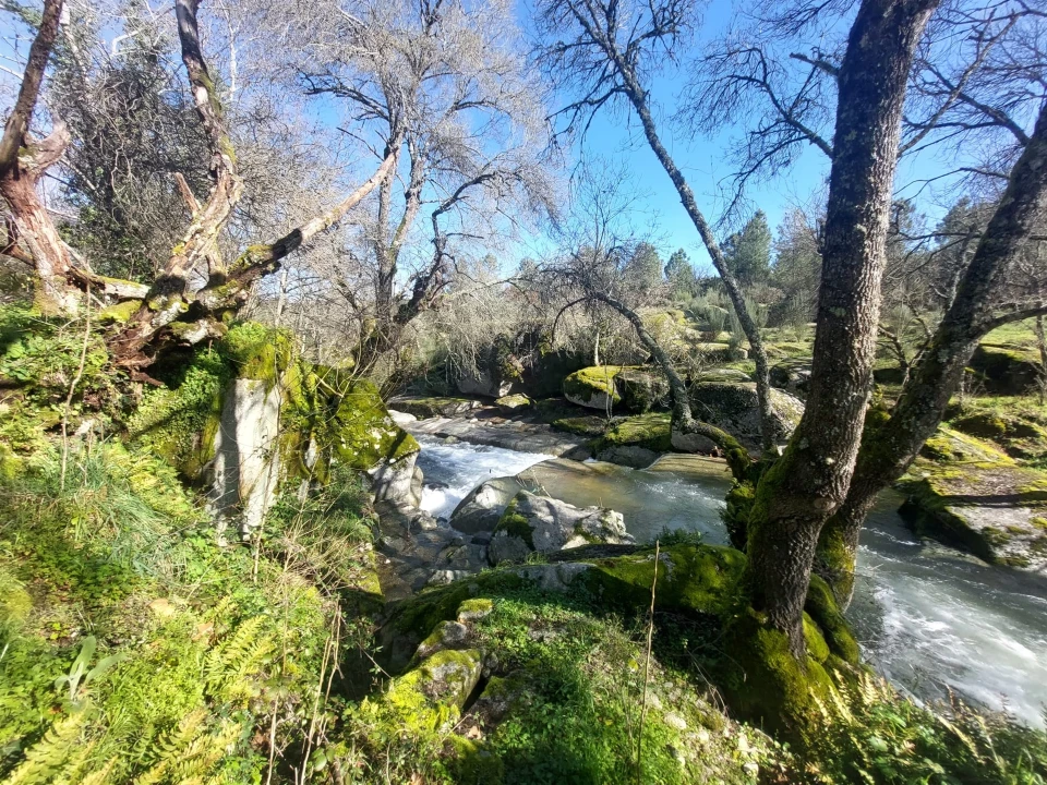 Quinta T0 para Venda em Rio Torto e Lagarinhos Foto 14