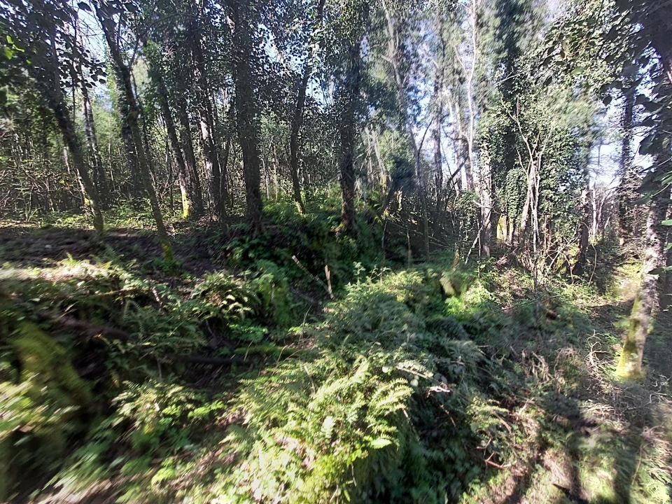 Quinta T0 para Venda em Rio Torto e Lagarinhos Foto 5