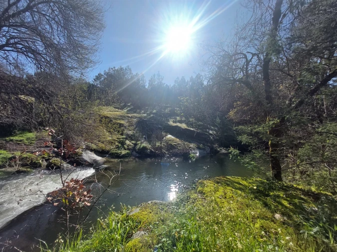 Quinta T0 para Venda em Rio Torto e Lagarinhos Foto 15