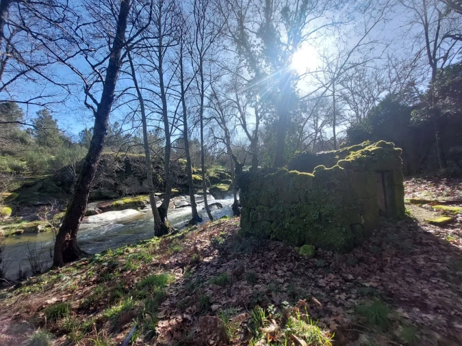 Quinta T0 para Venda em Rio Torto e Lagarinhos Foto 12
