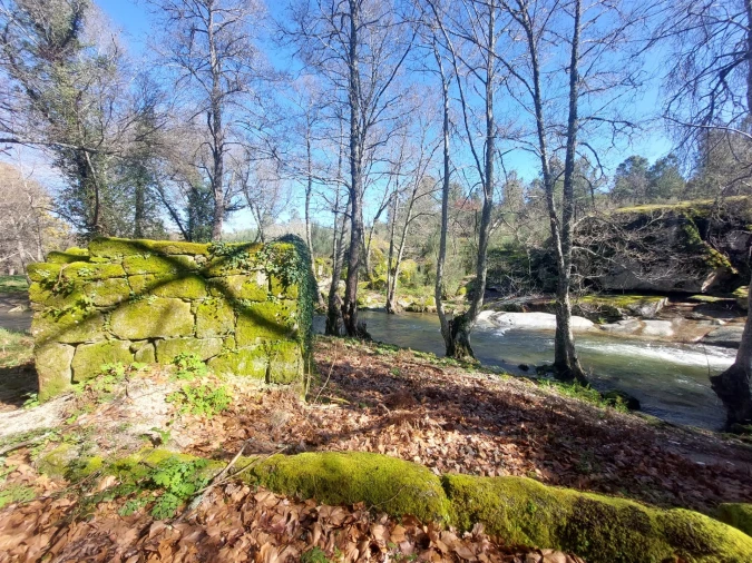Quinta T0 para Venda em Rio Torto e Lagarinhos Foto 18