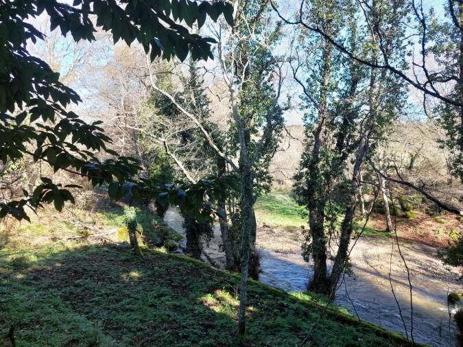 Quinta T0 para Venda em Rio Torto e Lagarinhos Foto 6