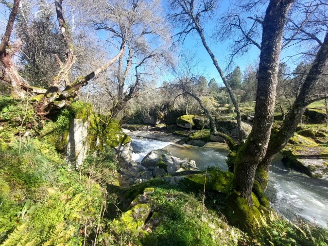 Quinta T0 para Venda em Rio Torto e Lagarinhos Foto 14