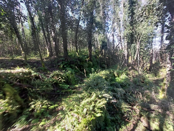 Quinta T0 para Venda em Rio Torto e Lagarinhos Foto 5