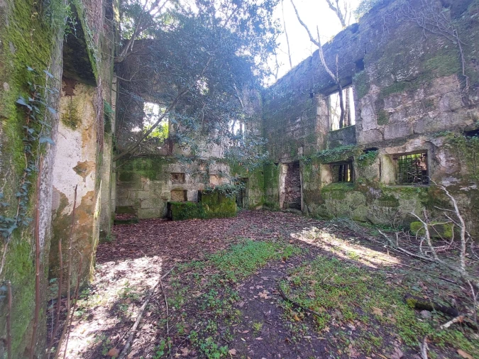 Quinta T0 para Venda em Rio Torto e Lagarinhos Foto 9