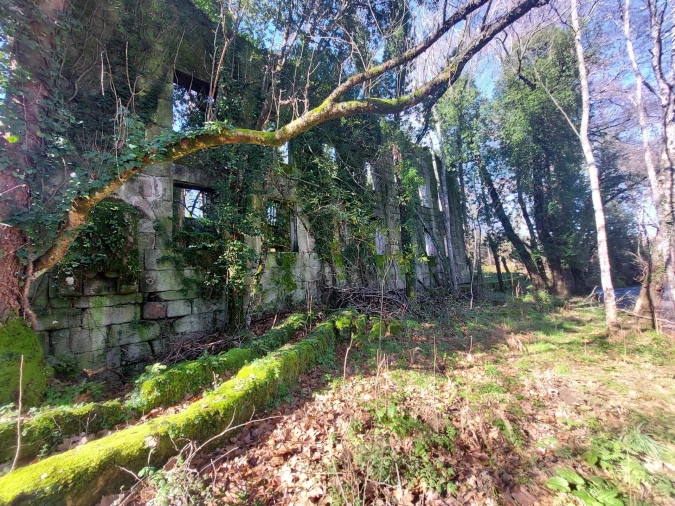 Quinta T0 para Venda em Rio Torto e Lagarinhos Foto 13