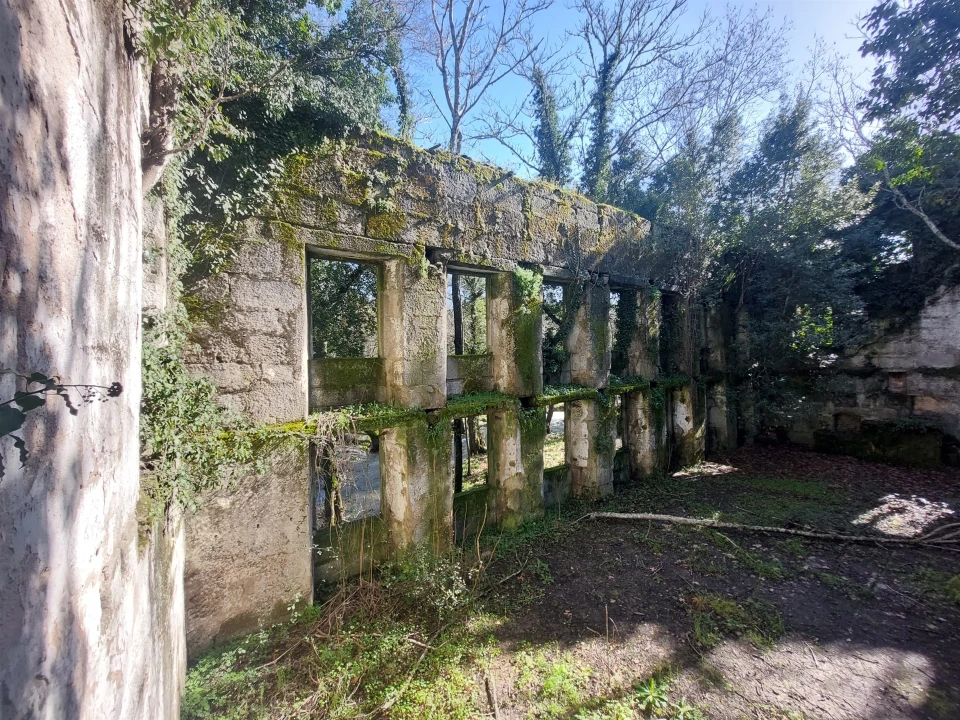 Quinta T0 para Venda em Rio Torto e Lagarinhos Foto 8
