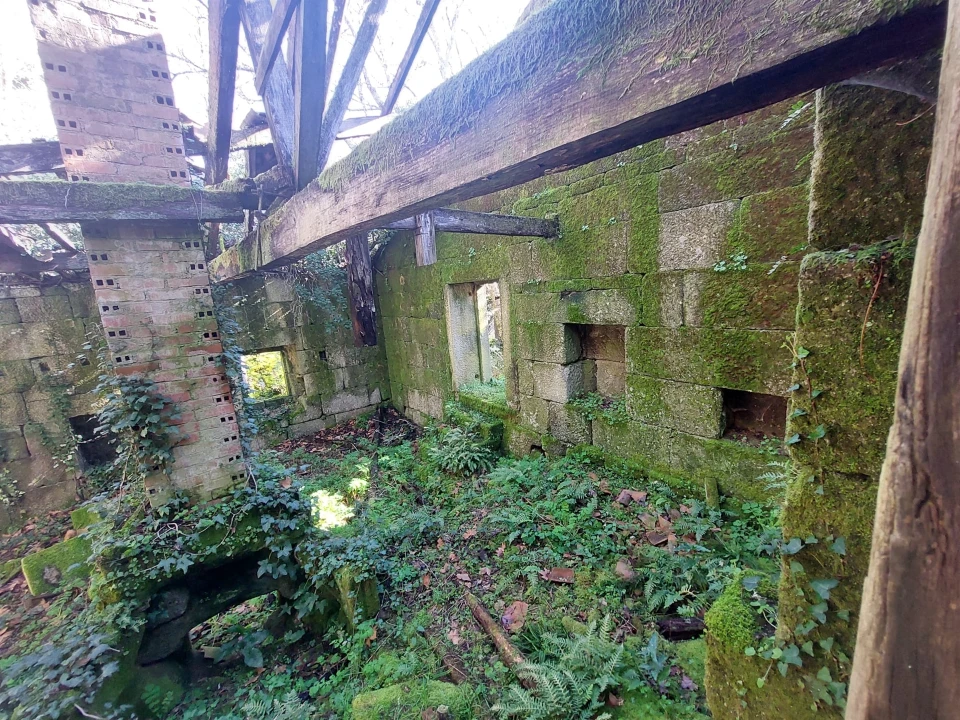 Quinta T0 para Venda em Rio Torto e Lagarinhos Foto 17