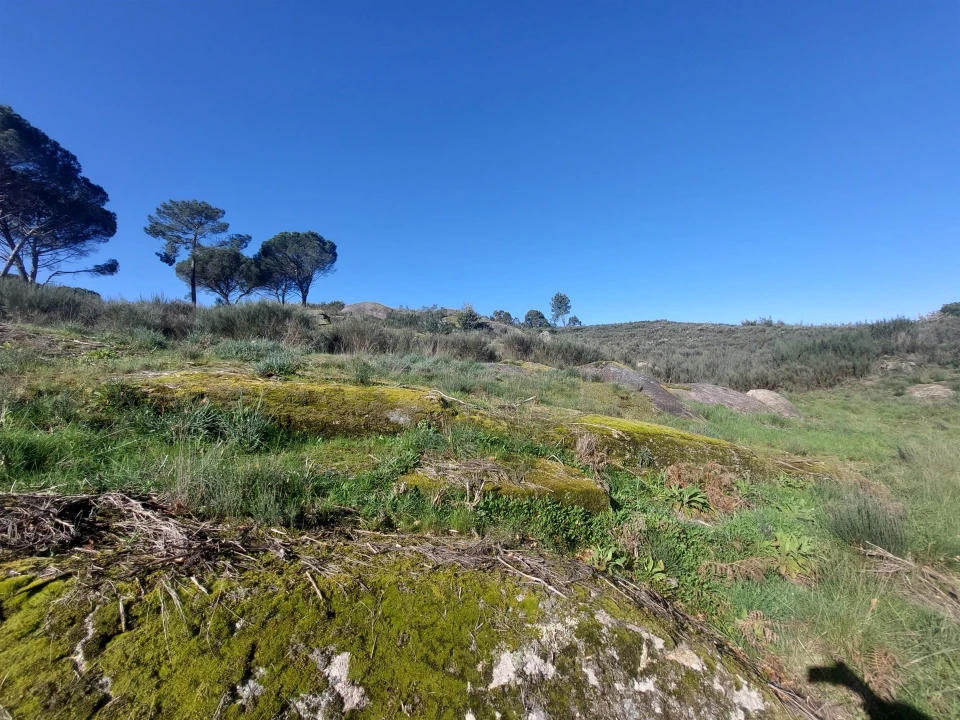 Quinta T0 para Venda em Rio Torto e Lagarinhos Foto 22