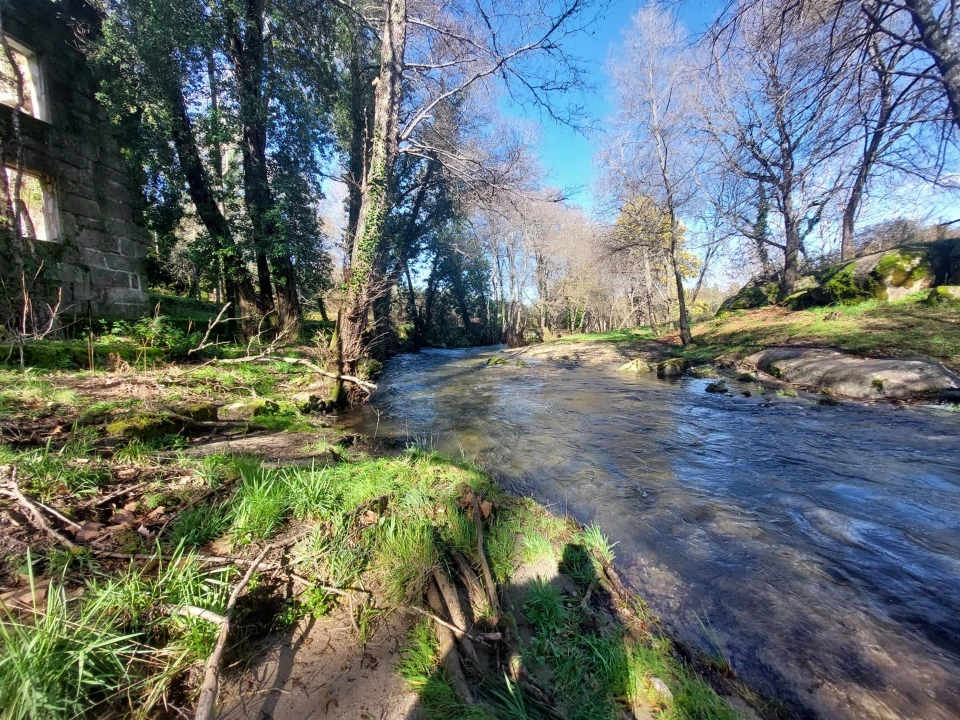 Quinta T0 para Venda em Rio Torto e Lagarinhos Foto 1