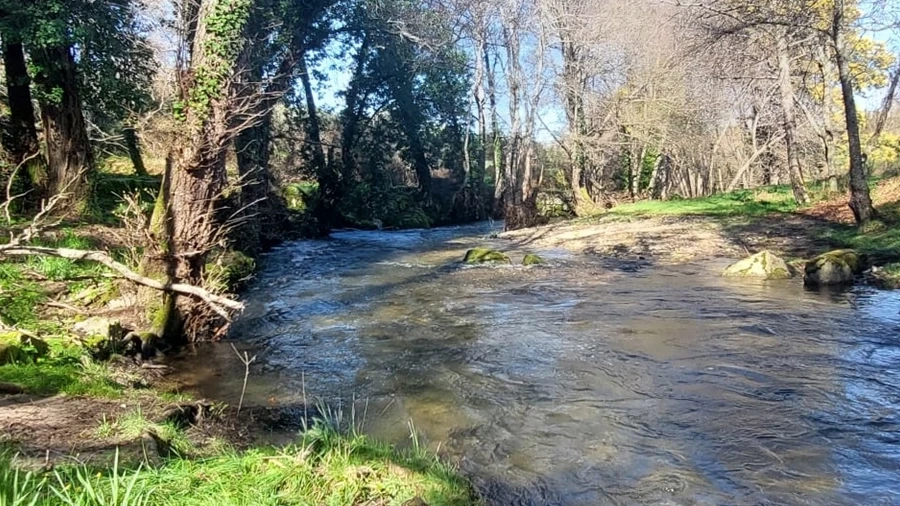 Quinta T0 para Venda em Rio Torto e Lagarinhos