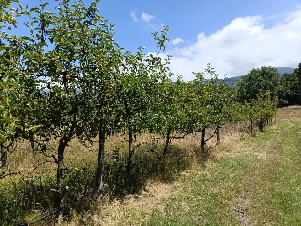 Quinta T0 para Venda em Santa Marinha e São Martinho Foto 20
