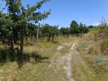 Quinta T0 para Venda em Santa Marinha e São Martinho