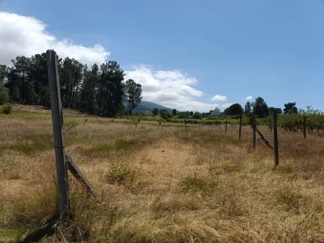 Quinta T0 para Venda em Santa Marinha e São Martinho