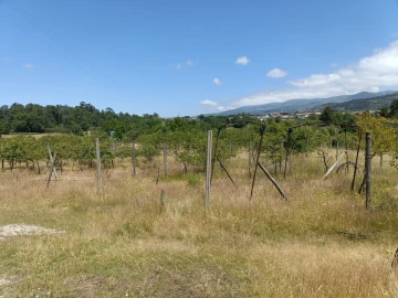 Quinta T0 para Venda em Santa Marinha e São Martinho
