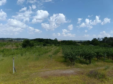 Quinta T0 para Venda em Santa Marinha e São Martinho