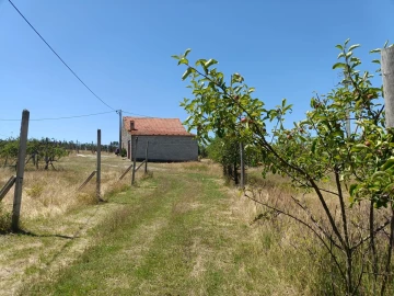 Quinta T0 para Venda em Santa Marinha e São Martinho