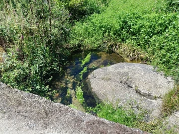 Quinta T0 para Venda em Santa Marinha e São Martinho