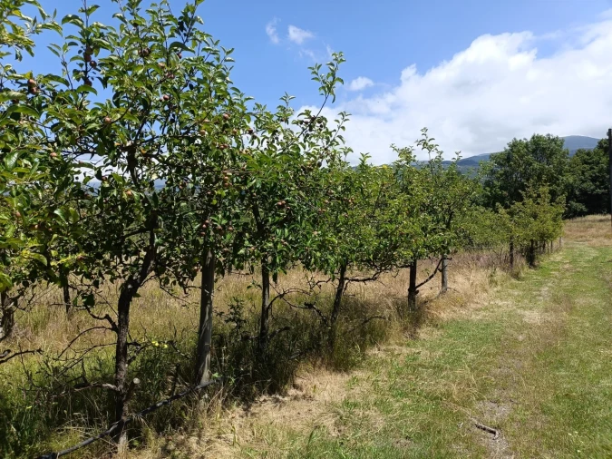 Quinta T0 para Venda em Santa Marinha e São Martinho Foto 20