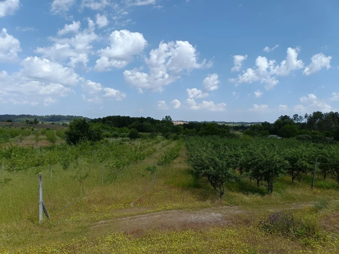 Quinta T0 para Venda em Santa Marinha e São Martinho Foto 6