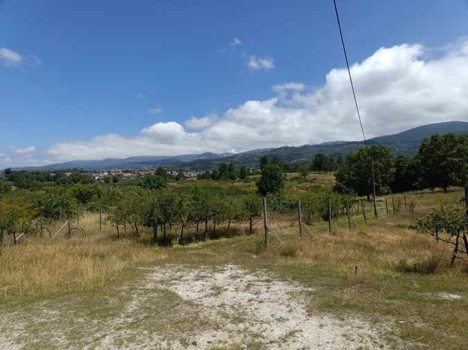 Quinta T0 para Venda em Santa Marinha e São Martinho Foto 18