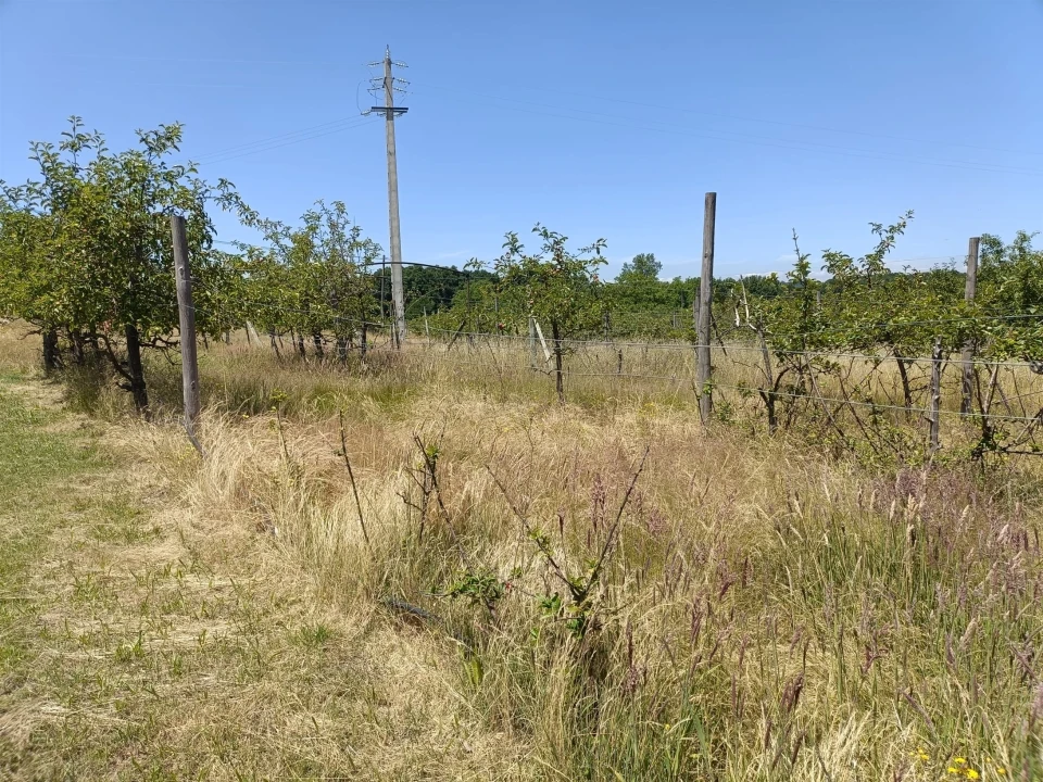 Quinta T0 para Venda em Santa Marinha e São Martinho Foto 21