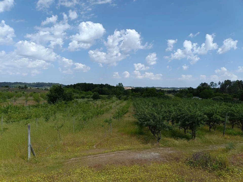 Quinta T0 para Venda em Santa Marinha e São Martinho Foto 6