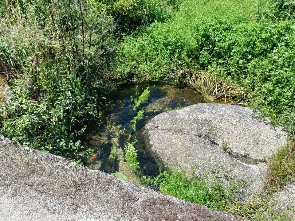 Quinta T0 para Venda em Santa Marinha e São Martinho Foto 16