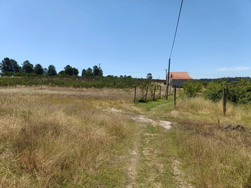 Quinta T0 para Venda em Santa Marinha e São Martinho Foto 1