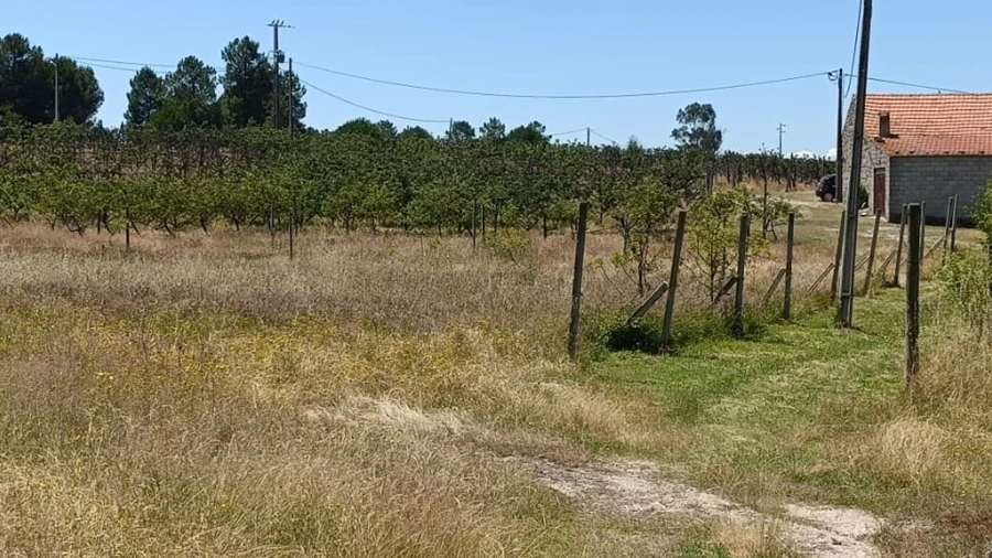 Quinta T0 para Venda em Santa Marinha e São Martinho