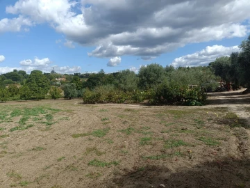 Terreno para Venda em Paranhos