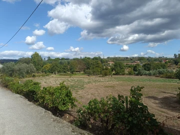 Terreno para Venda em Paranhos