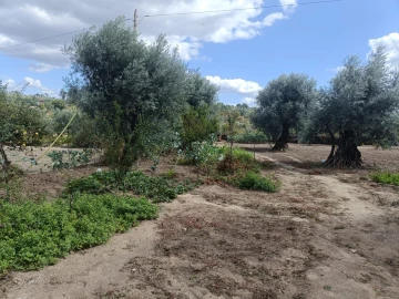 Terreno para Venda em Paranhos