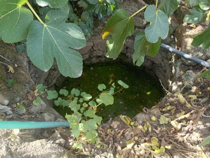 Terreno para Venda em Paranhos Foto 4