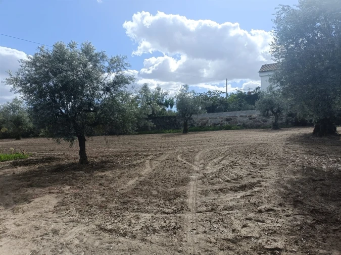Terreno para Venda em Paranhos Foto 7