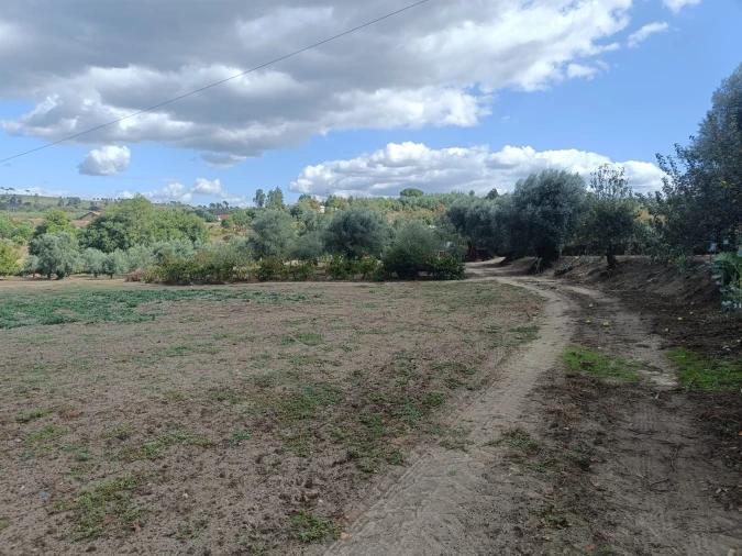Terreno para Venda em Paranhos Foto 6