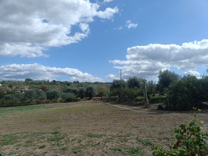 Terreno para Venda em Paranhos Foto 10
