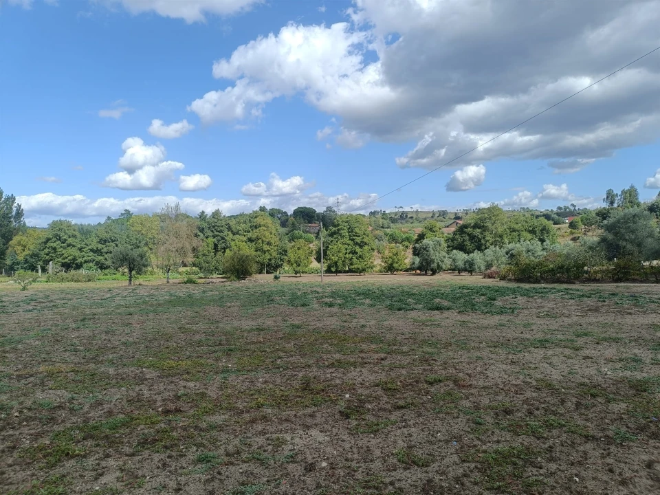 Terreno para Venda em Paranhos Foto 5