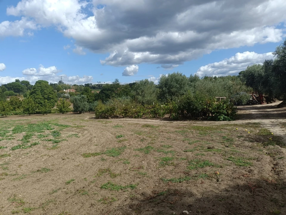 Terreno para Venda em Paranhos Foto 3
