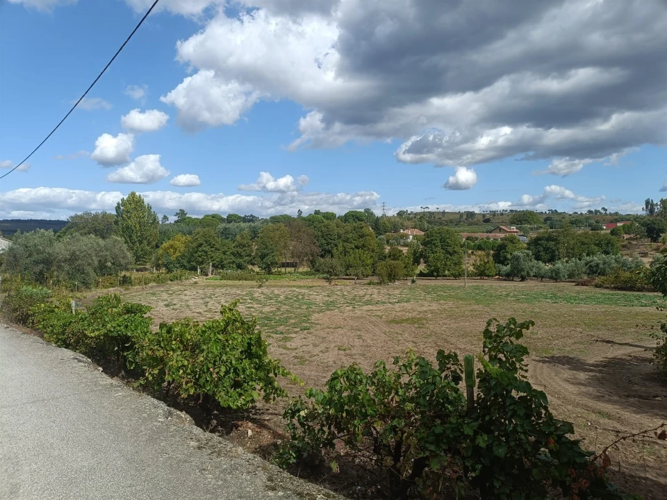 Terreno para Venda em Paranhos Foto 1