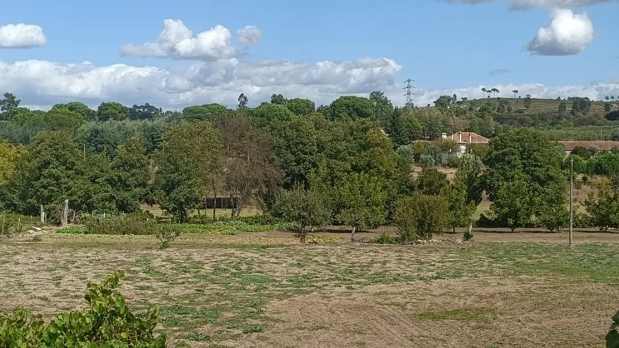 Terreno para Venda em Paranhos