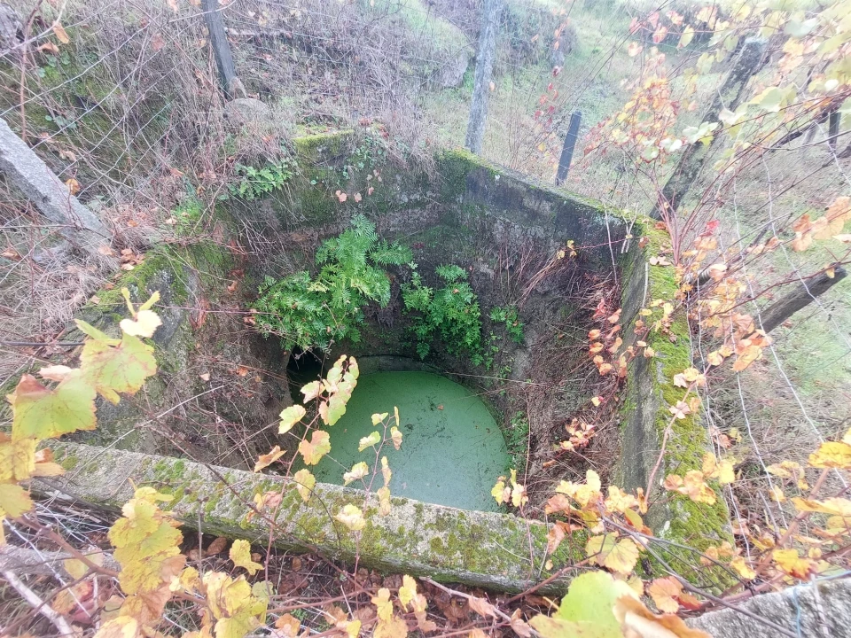 Terreno Agricola ou Rústico para Venda em Vila Nova de Tazem Foto 4