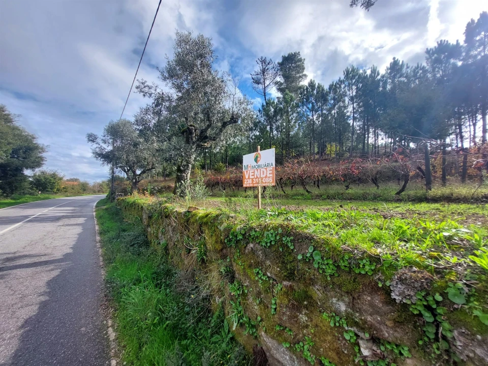 Terreno Agricola ou Rústico para Venda em Vila Nova de Tazem Foto 9