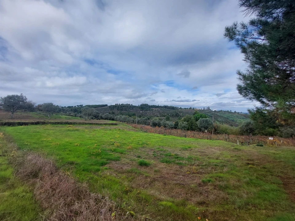 Terreno Agricola ou Rústico para Venda em Vila Nova de Tazem Foto 10
